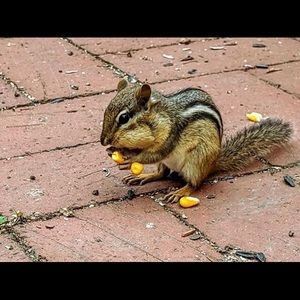 Meet your Posher, Jacob